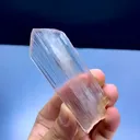 specimen video