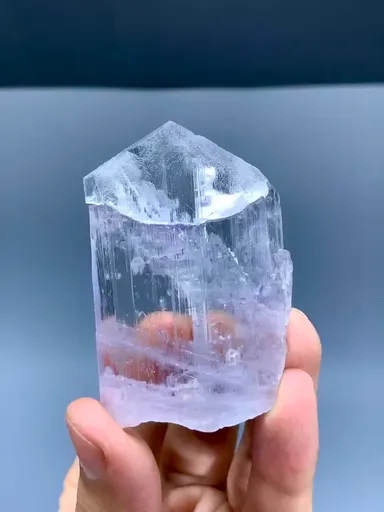 specimen video