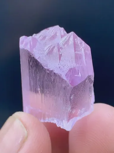specimen video