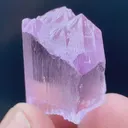specimen video