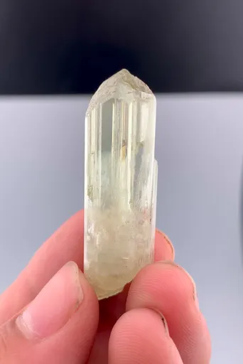 specimen video
