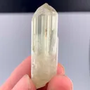 specimen video