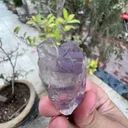 Kunzite from Afghanistan - image 8