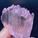 specimen video