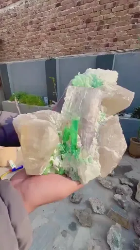 specimen video