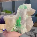 specimen video