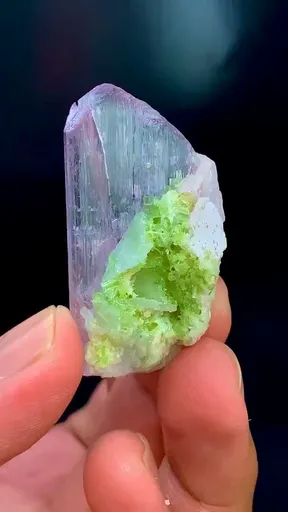specimen video