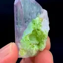 specimen video