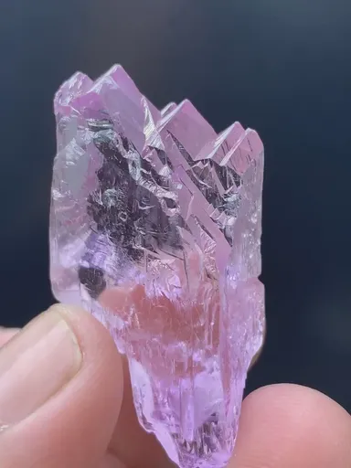 specimen video
