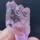 specimen video