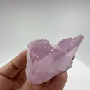 specimen video