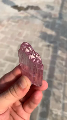 specimen video