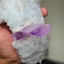 Kunzite from Afghanistan - image 3