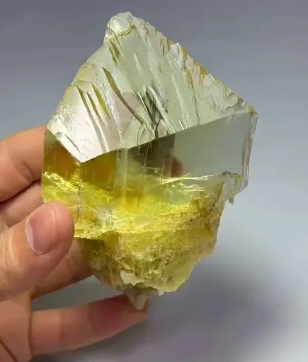 specimen video