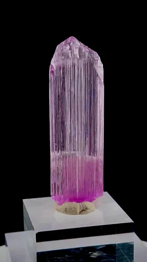 specimen video