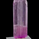 specimen video