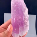 specimen video