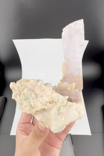 specimen video
