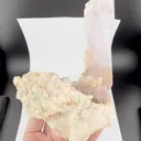 specimen video