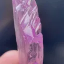 specimen video