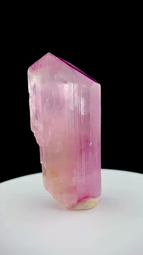 specimen video