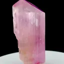 specimen video