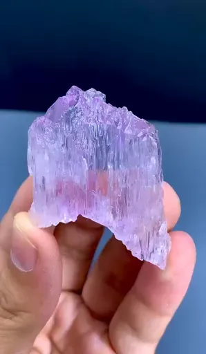 specimen video
