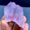 specimen video