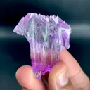 specimen video