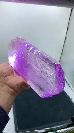 specimen video