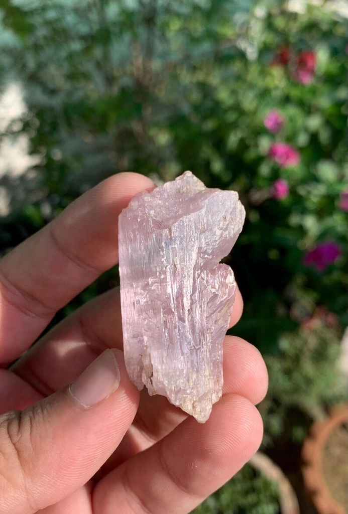 Kunzite from Afghanistan - image 6