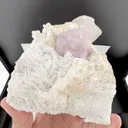 specimen video