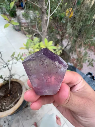 specimen video