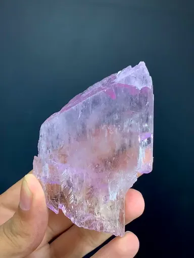 specimen video