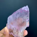 specimen video