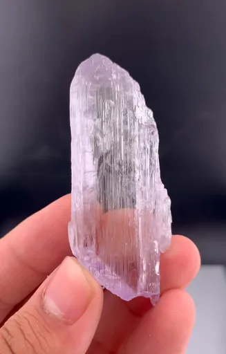 specimen video