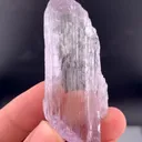 specimen video