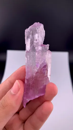 specimen video