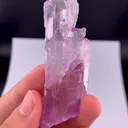 specimen video