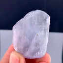 specimen video