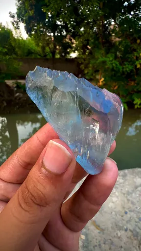 specimen video