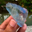 specimen video