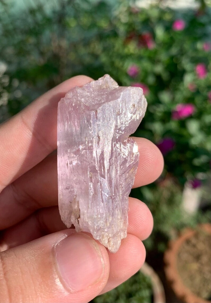 Kunzite from Afghanistan image