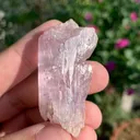 Kunzite from Afghanistan - image 1