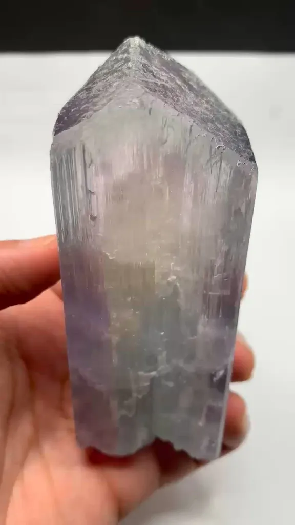 specimen video