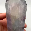 specimen video