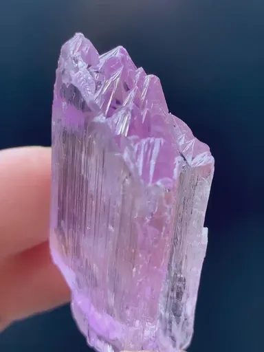 specimen video
