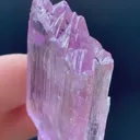 specimen video