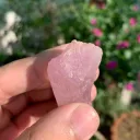 Kunzite from Afghanistan - image 4