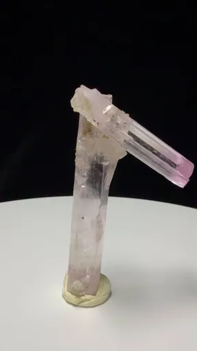 specimen video